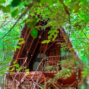 Tree House Ambasewana 3*, 哈伯勒内 斯里兰卡